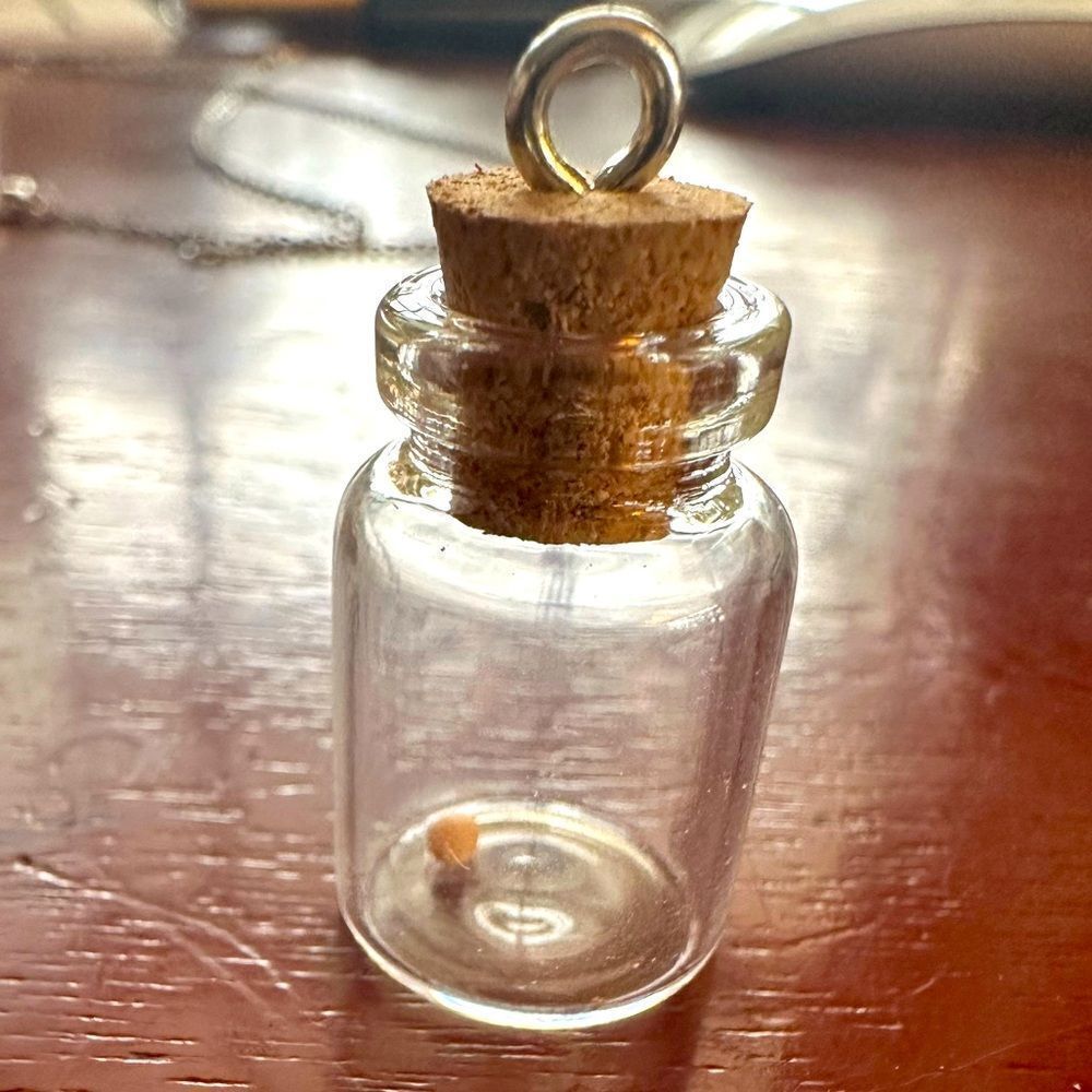 JUST IN☀️Mustard Seed in a Bottle Charm For Necklace Pin Keychains Faith Mission